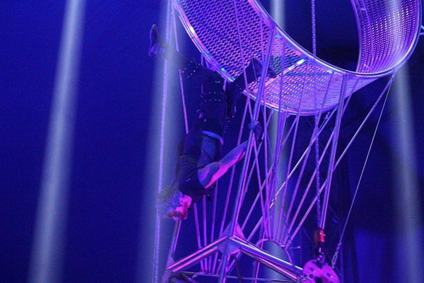 Zirkus-Horror   108.jpg